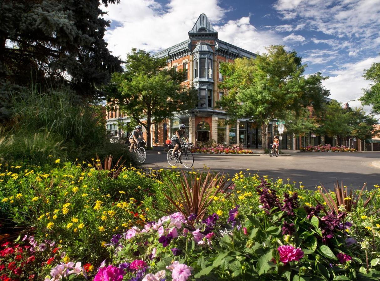 Lola House! Cozy Comfort, Prime Old Town Location Fort Collins Exterior foto